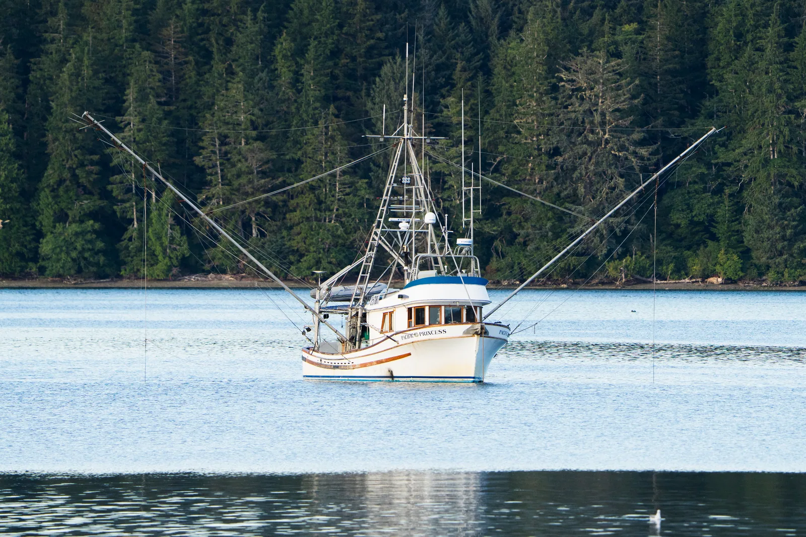 Fischerboot vor der bewaldeten Küste bei Winter Harbour
